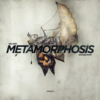 Metamorphosis by Melamin