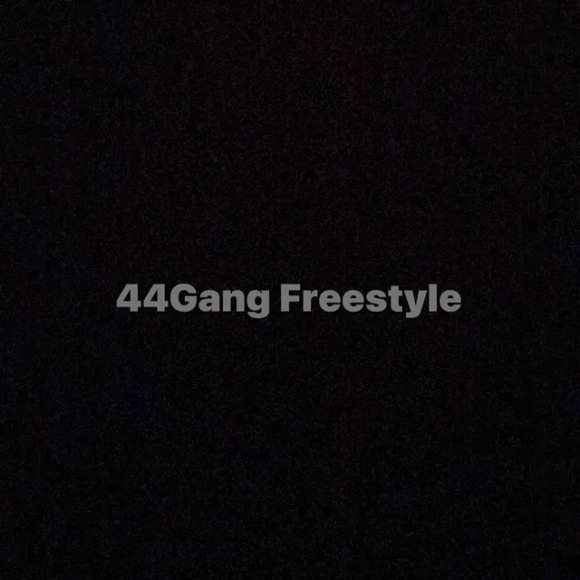 44Gang Freestyle