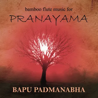 Bamboo Flute Music for Pranayama by Bapu Padmanabha