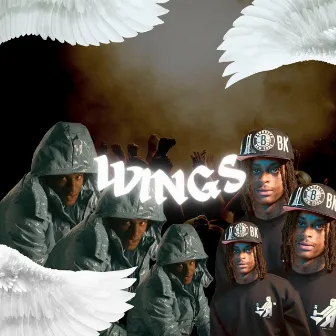 Wings by Jayy Harder