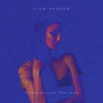 Screensaver Prelude by Slow Meadow