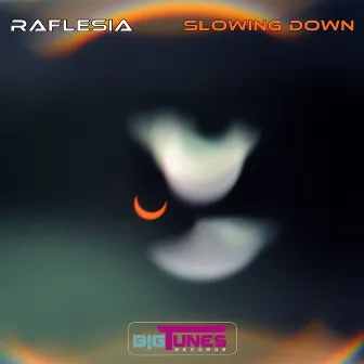 Slowing Down by Raflesia