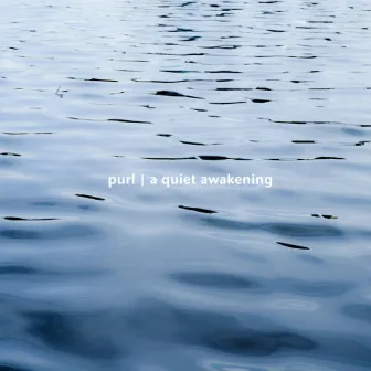 A Quiet Awakening by Purl