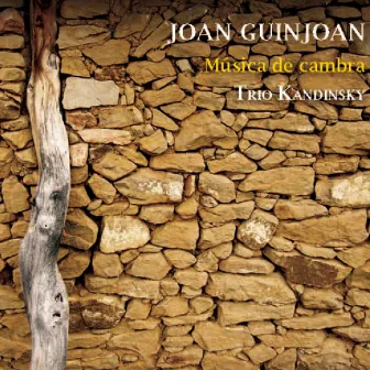 Joan Guinjoan: Música de Cambra by Joan Guinjoan