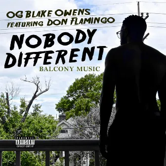 Nobody Different (feat. Don Flamingo) by Og Blake Owens