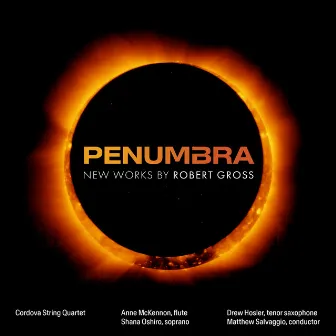 Robert Gross: Penumbra by 