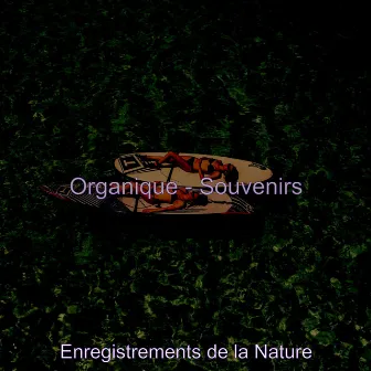 Organique - Souvenirs by Enregistrements de la Nature