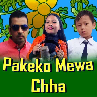 Pakeko Mewa Chha by Uttam Poudel