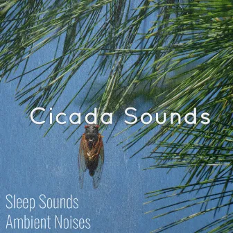 Cicada Sounds by Cricket Sounds