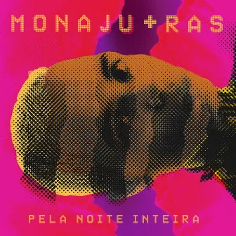 PELA NOITE INTEIRA by RAS