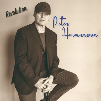 A Revolution by Peter Hermansson