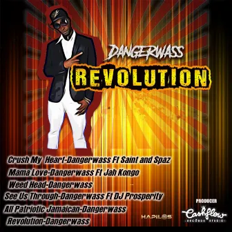 Revolution by Dangerwass