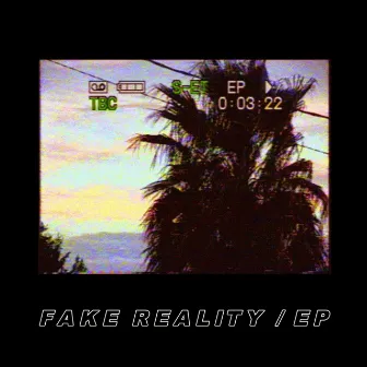 Fake Reality EP by bl00dwave