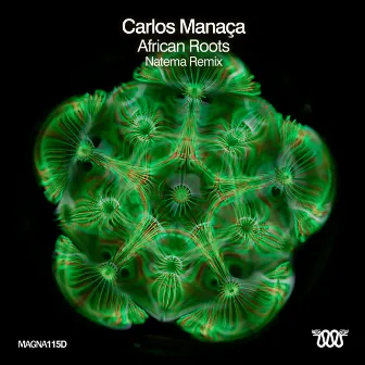 African Roots (Natema Remix) by Carlos Manaça