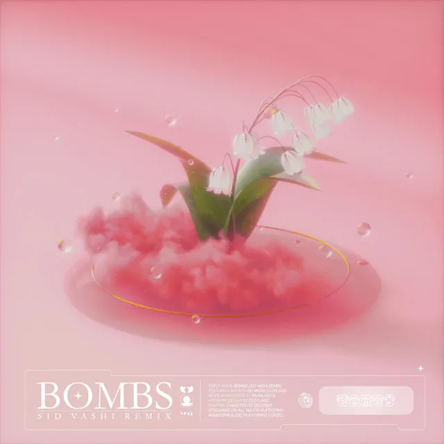 Bombs (Sid Vashi Remix)