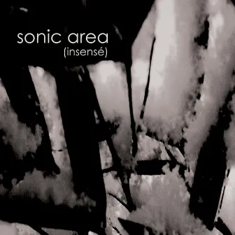 Insensé by Sonic Area