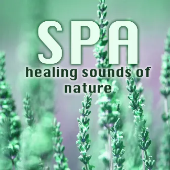 Spa Healing Sounds of Nature by 