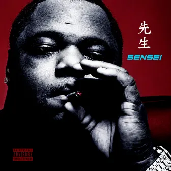 Sensei by Big Pokey