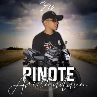 Pinote na Aricanduva by MC ZLK