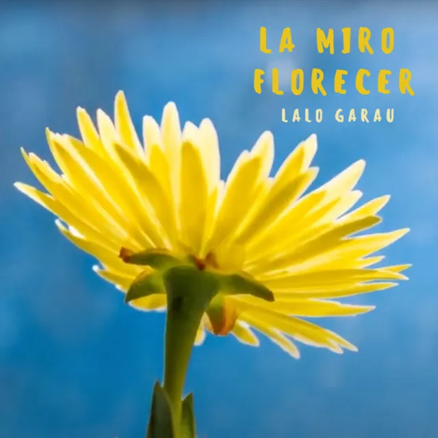 La miro florecer