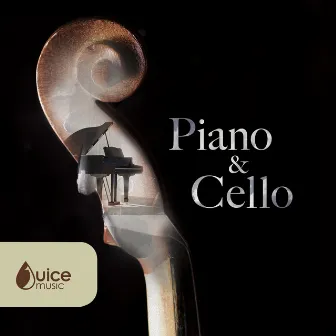 Piano and Cello by Darren Mudge