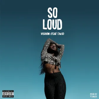 So Loud by Visiion