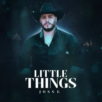 Little Things (Spanish) by Joss E.