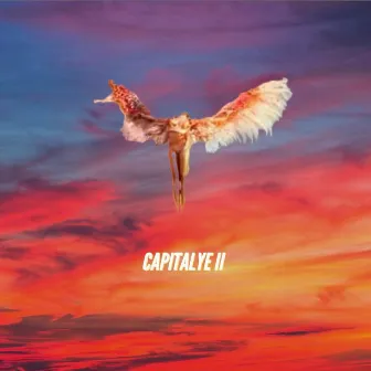 Capital Ye 2 by Cayan