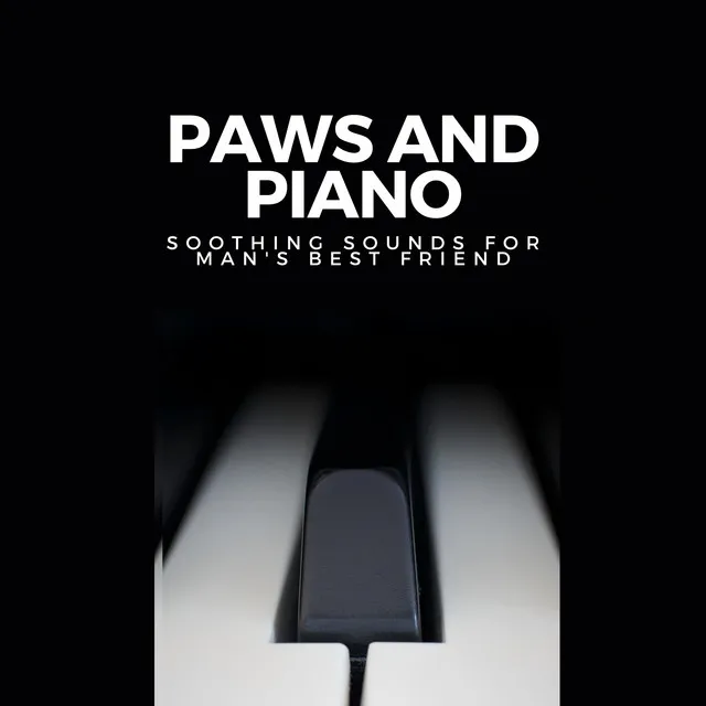 Paws and Piano: Soothing Sounds for Man's Best Friend