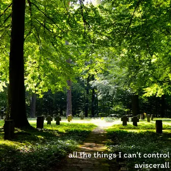 all the things I can't control by Aviscerall