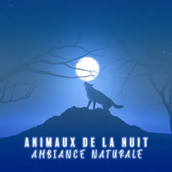 Animaux de la nuit: Ambiance naturale pour l'insomnie by Naturel Relaxation Ambiance