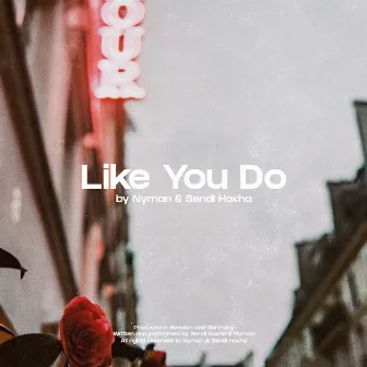 Like You Do by Sendi Hoxha