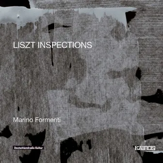 Liszt Inspections by Marino Formenti