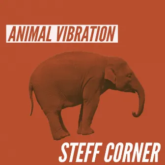 Animal Vibration by Steff Corner