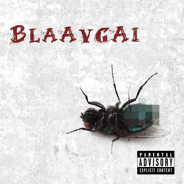 Blaavgai