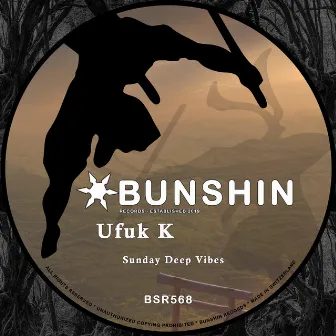 Sunday Deep Vibes by Ufuk K