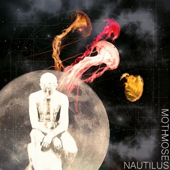 Nautilus by Moth Moses