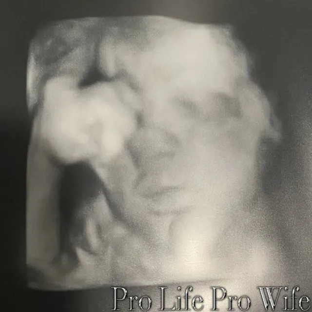 Pro Life Pro Wife