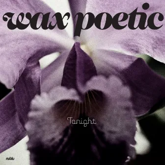 Tonight - Single by Wax Poetic