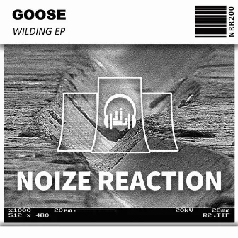 Wilding by Goose