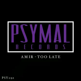 Too Late by Amir