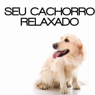 Seu Cachorro Relaxado - Sons da Natureza Que Acalmarão Seu Animal de Estimação, Membro da Família, Amor e Confiança, Juntos para Sempre by Academia de Música para Animais