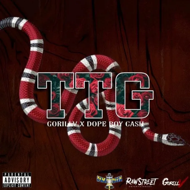 TTG