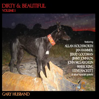 Dirty & Beautiful, Vol. 1 by Gary Husband