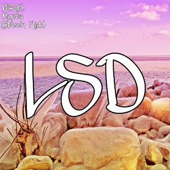 LSD by Brock Kidd