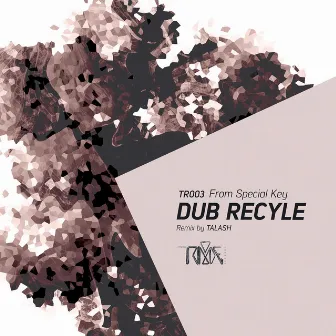 From Special Key by Dub Recycle