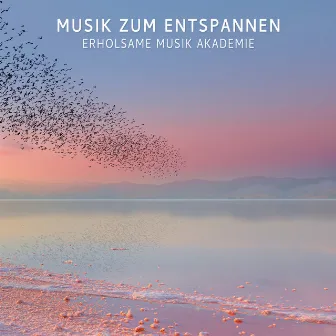 Musik Zum Entspannen by Unknown Artist