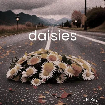 daisies by El Ray