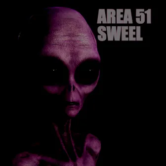 Area 51 by sweel