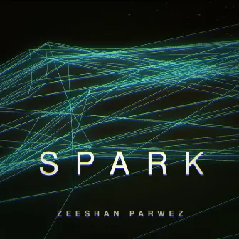 Spark by Zeeshan Parwez